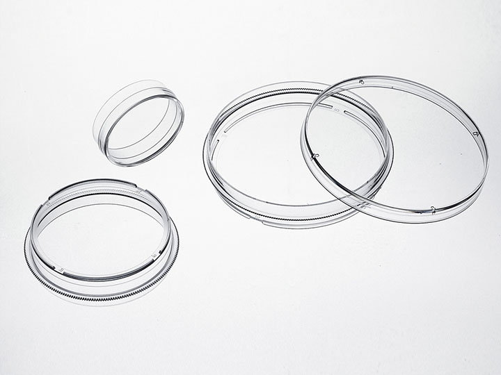 PP电子(中国)官方网站