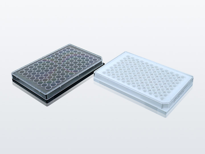 PP电子(中国)官方网站