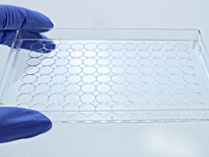 PP电子(中国)官方网站