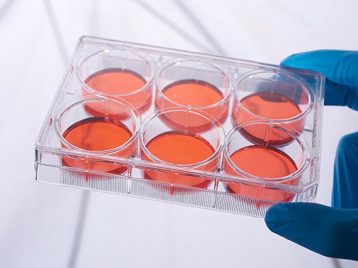 内页720×540 拷贝3.jpg