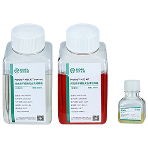 ProGro? MSC KIT间充质干细胞无血清培养试剂盒