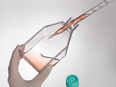 斜颈设计，易于倾倒，方便移 液管和细胞刮刀的进出