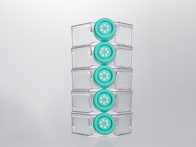 0.22μm疏水滤膜盖，通气阻水，高效阻菌；